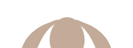頭