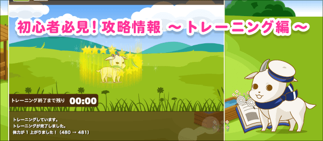 初心者必見!攻略情報 〜トレーニング編〜